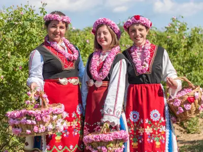 Women dressed in a Bulgarian traditional folklore costume picking roses in a garden, as part of the summer regional ritual in Rose valley, Bulgaria.